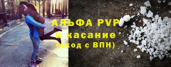 сатива Пересвет