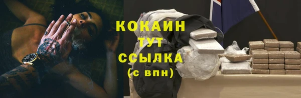 сатива Пересвет
