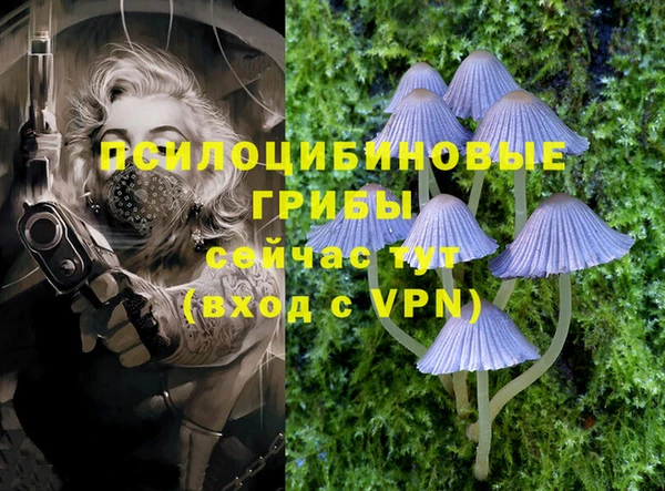 MDMA Premium VHQ Пестово