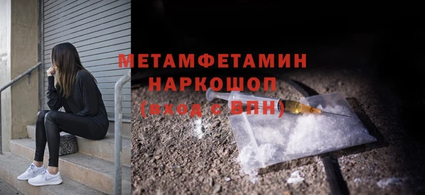 сатива Пересвет
